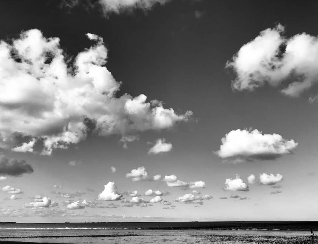 You are currently viewing Paysage