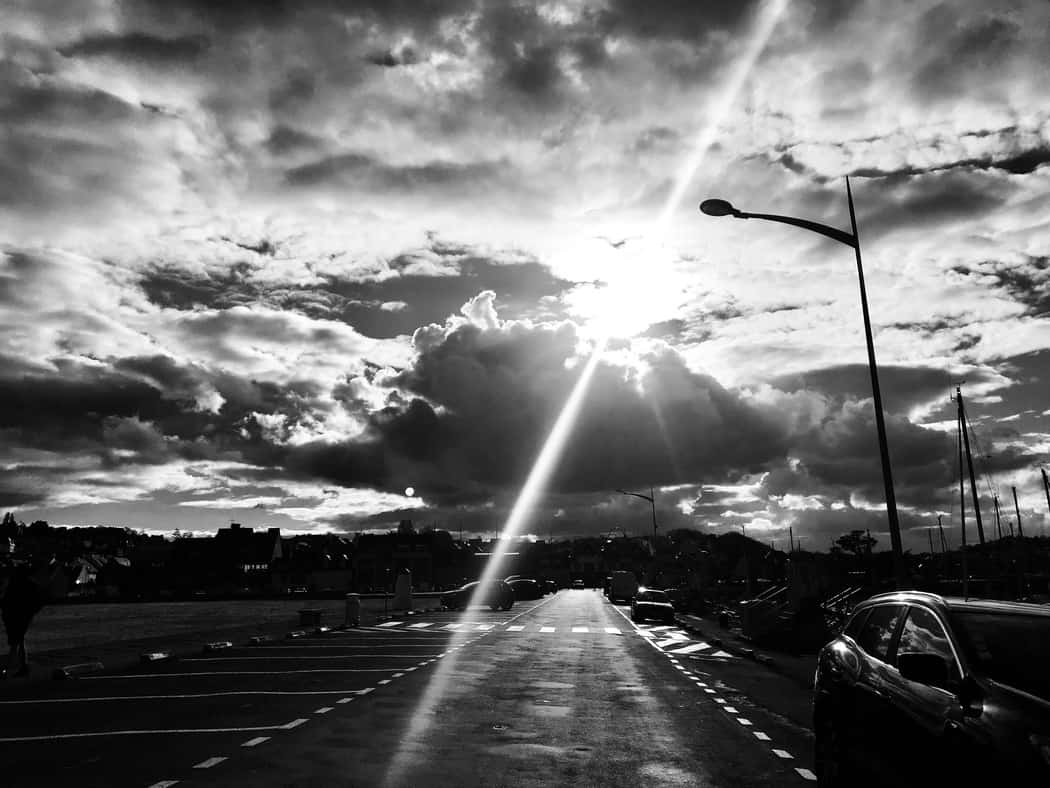 You are currently viewing Photo 3394