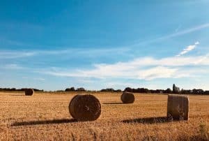 Lire la suite à propos de l’article Photo 5617