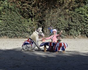 Lire la suite à propos de l’article photo 6781