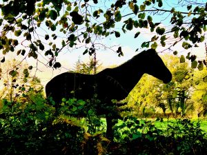 Lire la suite à propos de l’article Cheval