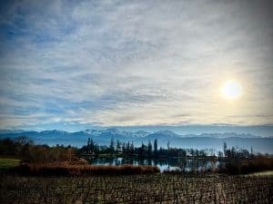 Lire la suite à propos de l’article IMG 1881