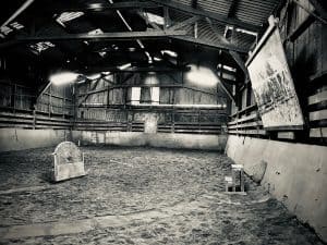 Lire la suite à propos de l’article Photo 2950