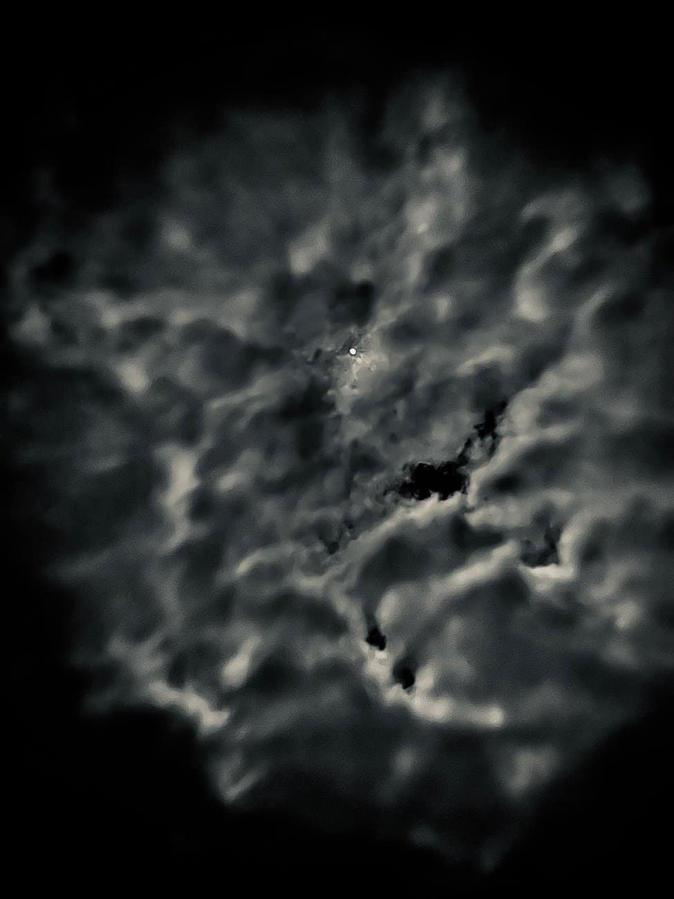 You are currently viewing Photo 3111