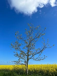Lire la suite à propos de l’article Photo 5082