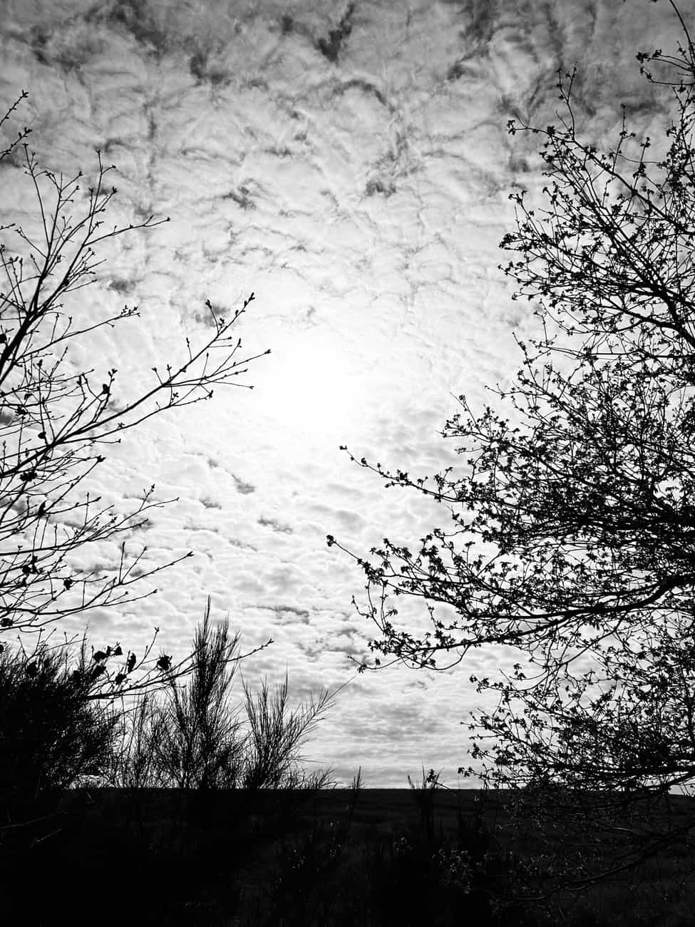 You are currently viewing Photo 5160