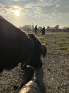 Lire la suite à propos de l’article Photo 5248