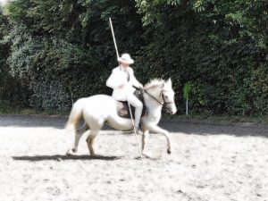 Lire la suite à propos de l’article Cavalier