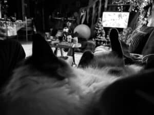 Lire la suite à propos de l’article Chat TV
