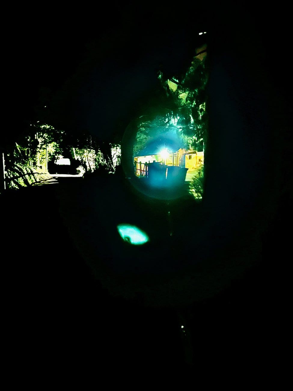 You are currently viewing Photo 4358