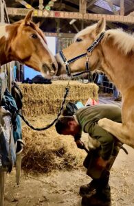 Lire la suite à propos de l’article Photo 5939