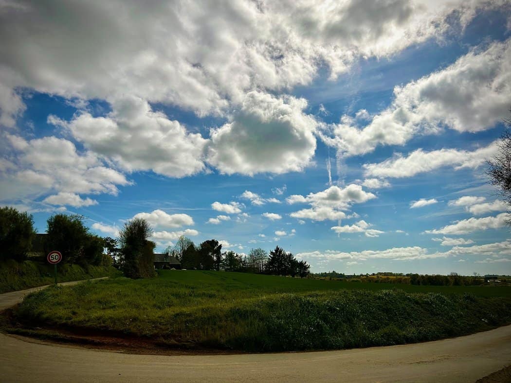 You are currently viewing Photo 6360
