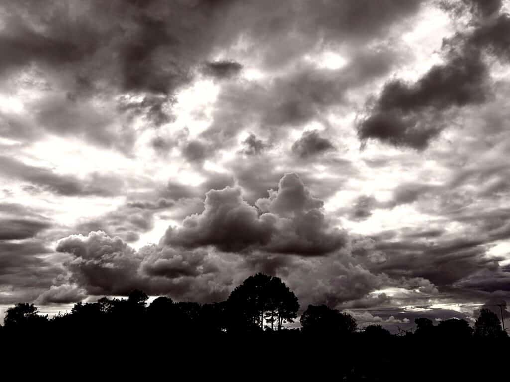 Photo 7326 - Caroline Crozat