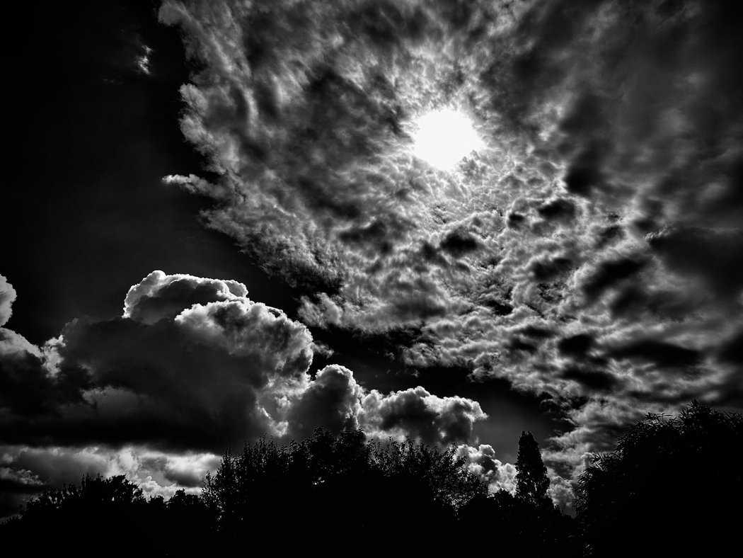You are currently viewing Photo 0327