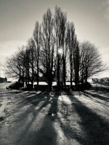 Lire la suite à propos de l’article Photo 1108