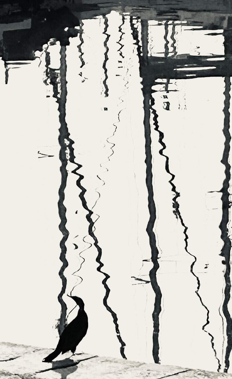 You are currently viewing Photo 1666