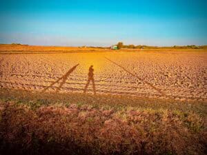 Lire la suite à propos de l’article Photo-9005